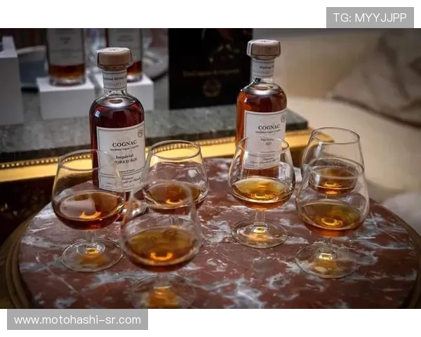 全面解析ag贵宾厅娱乐内容,带你领略奢华休闲新体验 全面解析ag贵宾厅娱乐内容,带你领略奢华休闲新体验