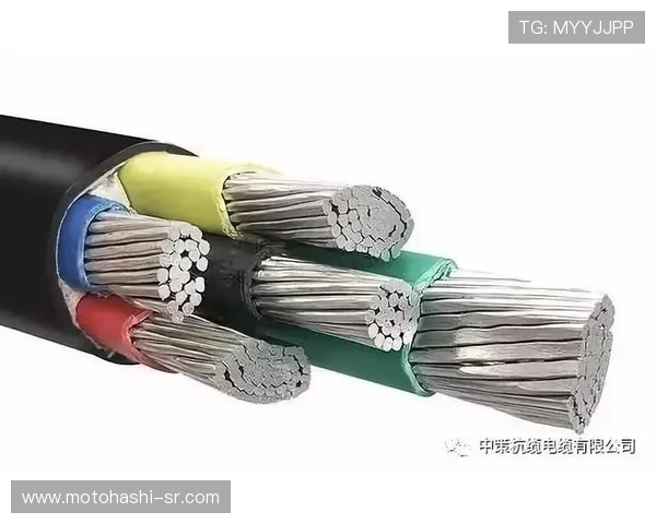 百家le最稳缆法详细分析，破解游戏中缆操作的关键技巧与实战应用方法