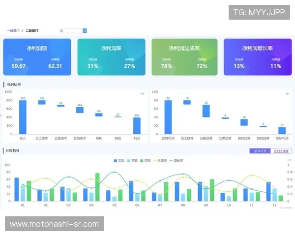 dg视讯长期盈利能力分析：深入探讨其财务稳定性与增长潜力