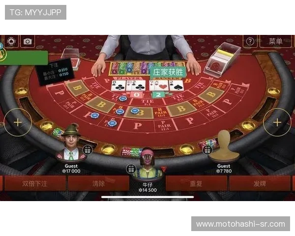 网络赌博百家乐对个人财产安全的潜在威胁及应对策略